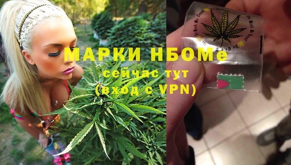 сатива Ладушкин