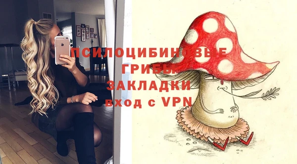 MDMA Лагань