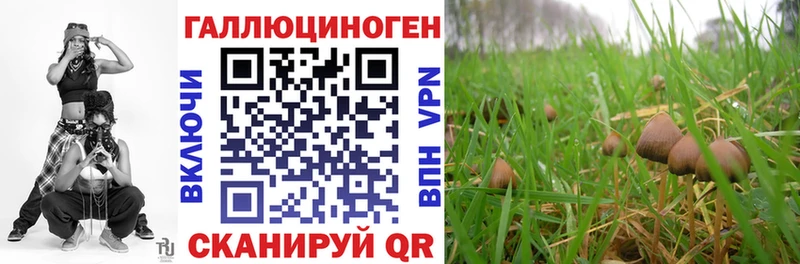 Псилоцибиновые грибы GOLDEN TEACHER Малая Вишера